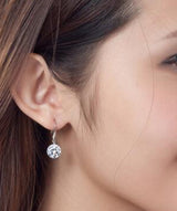 Sterling Silver Zircon Drop Earrings